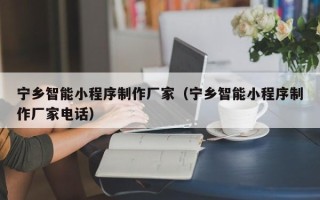 府谷宁乡智能小程序制作厂家（宁乡智能小程序制作厂家电话）