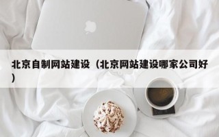 府谷北京自制网站建设（北京网站建设哪家公司好）